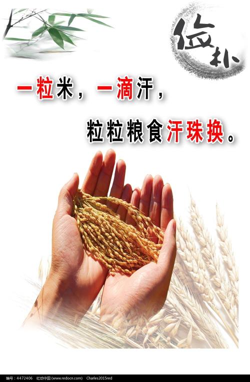高点大学文凭毕业证样本资料